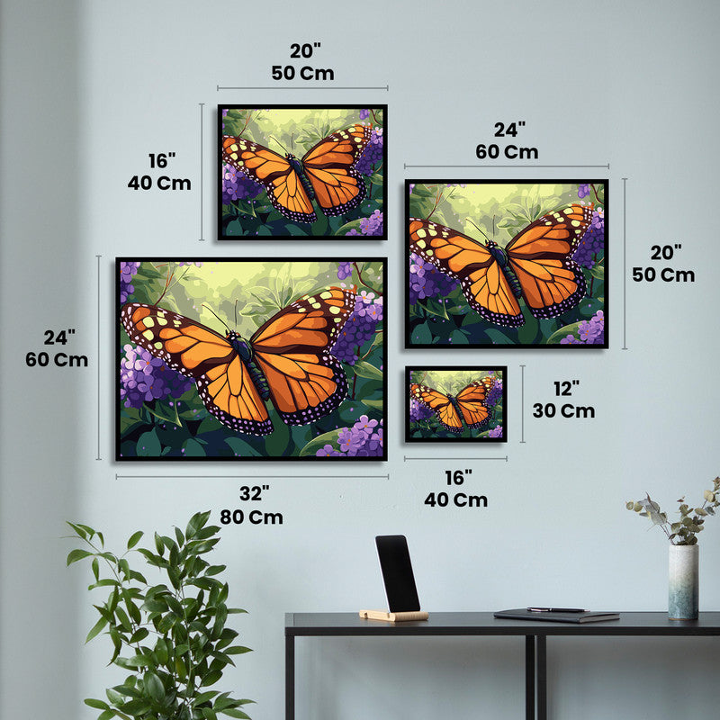Monarch Beauty