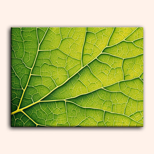 Nature-s-Geometry