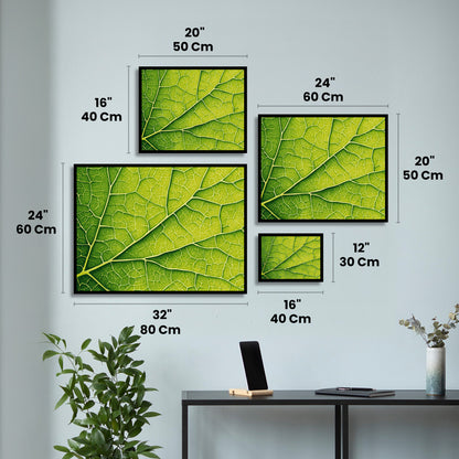 Nature-s-Geometry